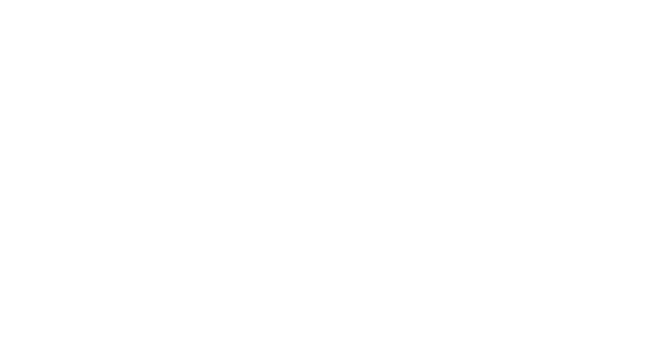 Burdynskyi Transport